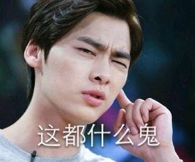 李易峰丑表情包