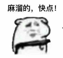 就是这么贴心表情包,传递温暖与关怀的瞬间缩影”